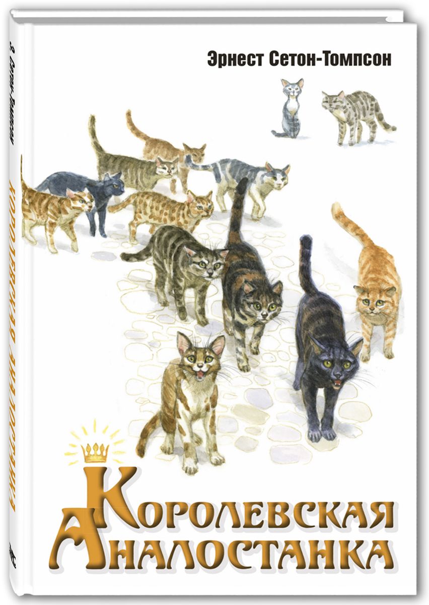 Рассказ э сетона томпсона королевская аналостанка презентация