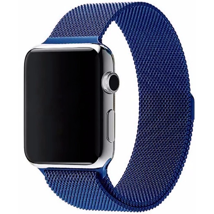 фото Ремешок Simolina для Apple Watch, 42 мм, магнитный замок, металлический, синий Semolina