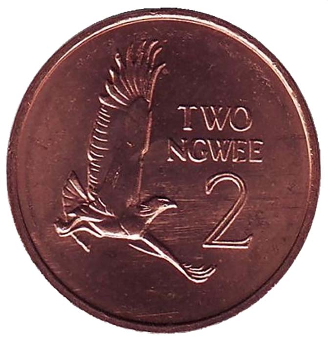 Монета номиналом 2 нгве. 