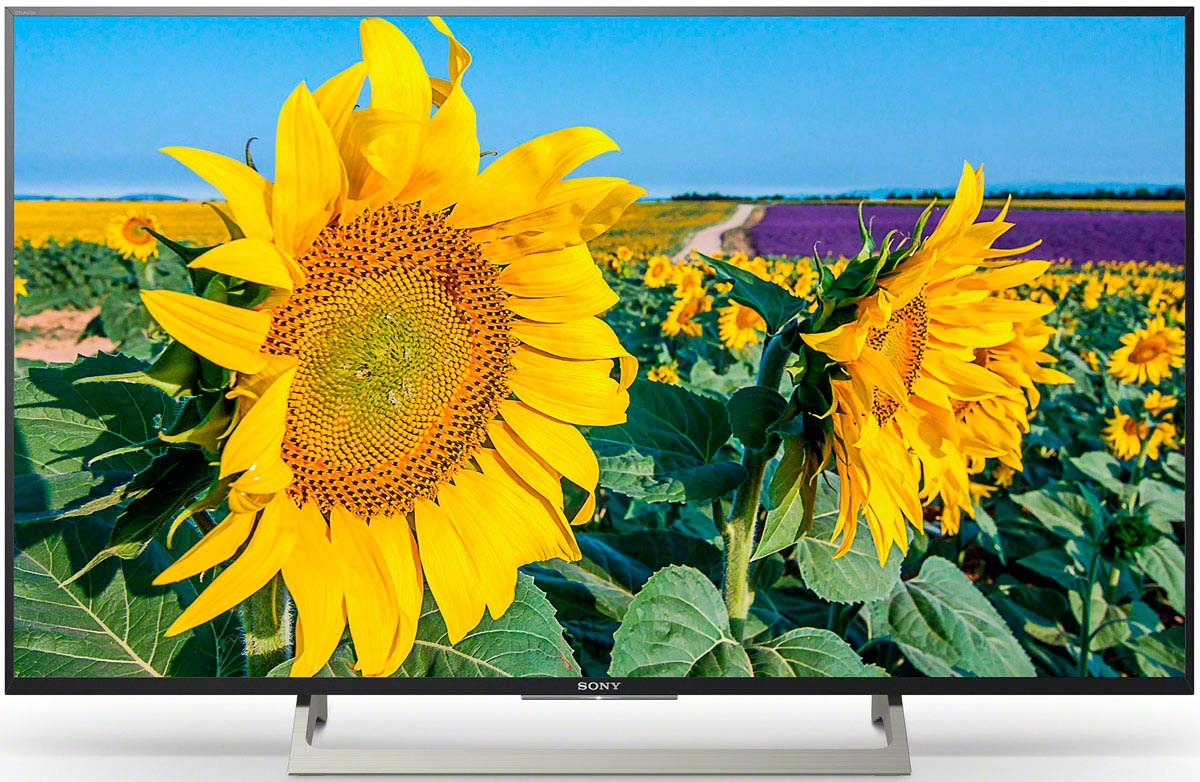 фото Телевизор Sony KD43XF8096BR 43", черный