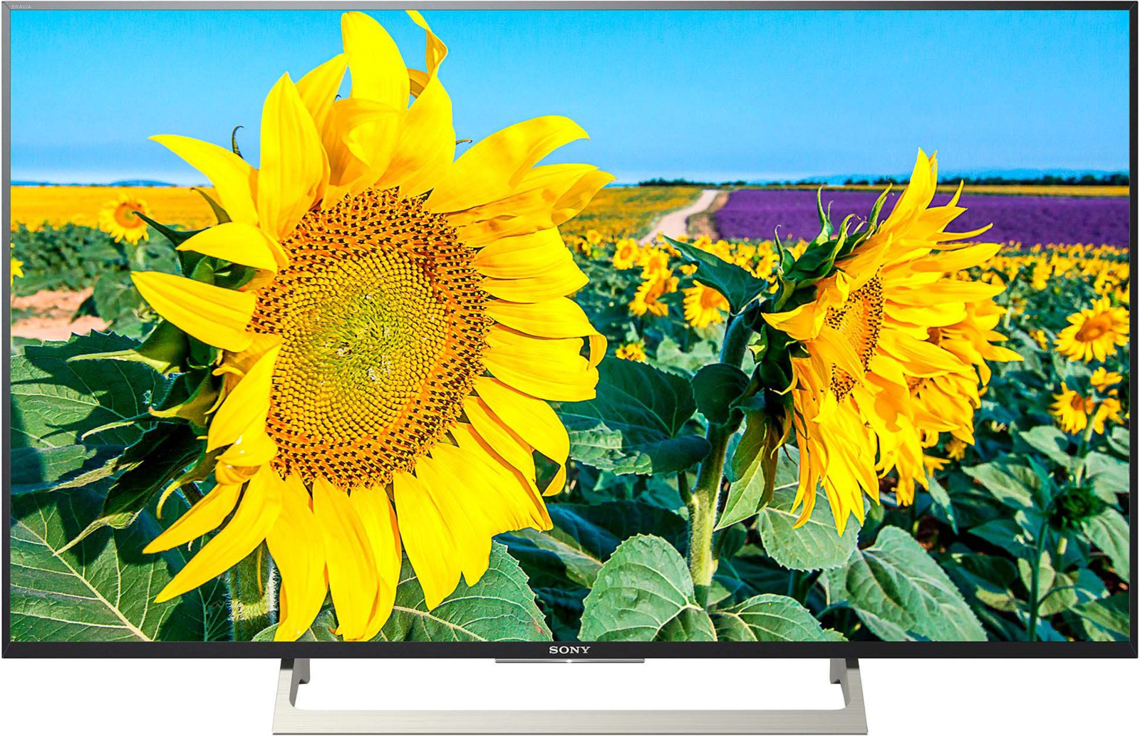 фото Телевизор Sony KD49XF8096BR 49", черный