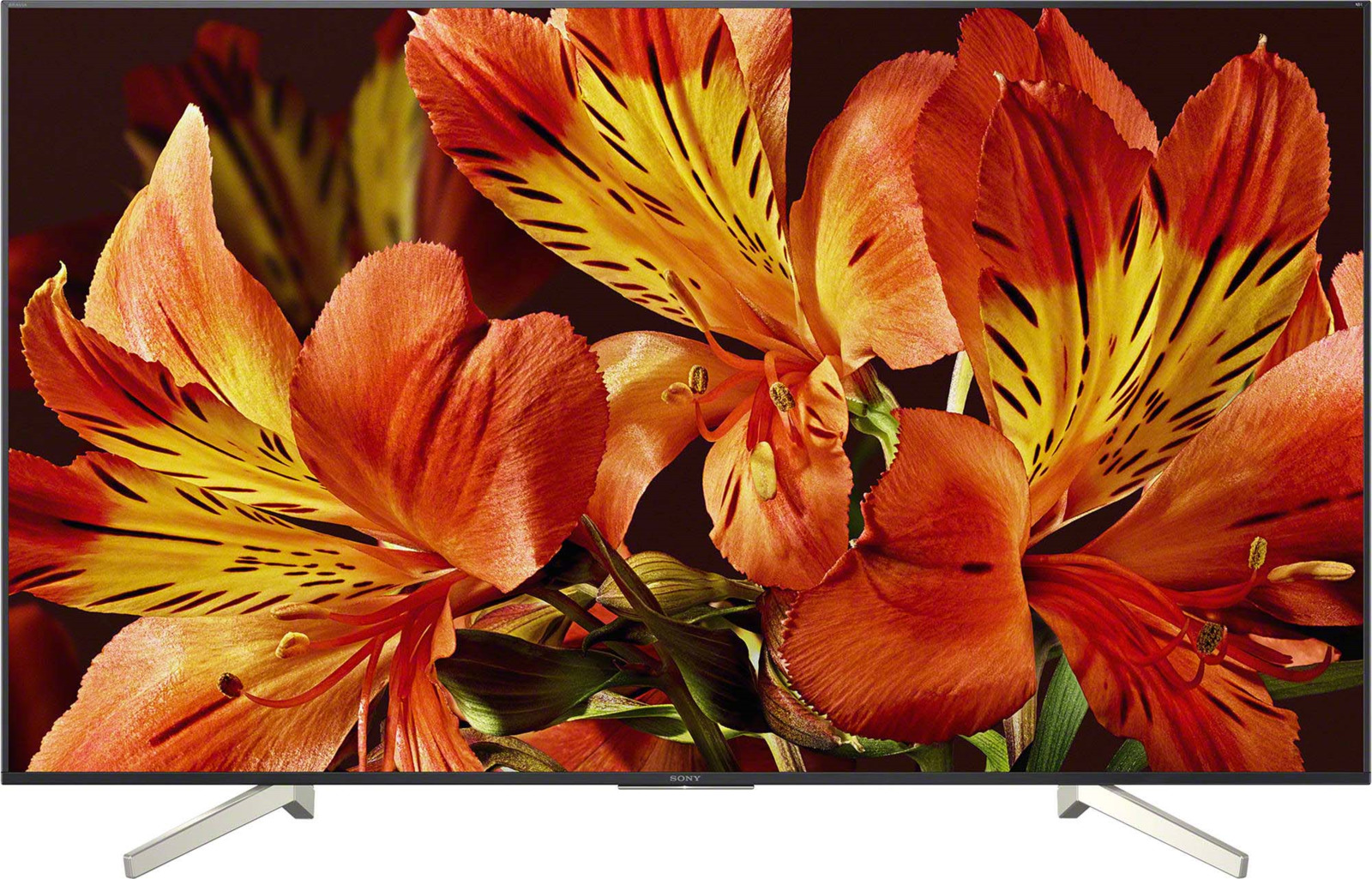 фото Телевизор Sony KD55XF8596BR2 55", черный