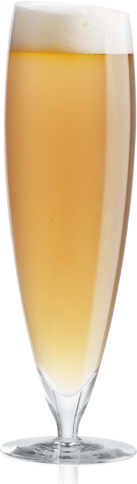 фото Бокалы для пива Eva Solo Glass, 500 мл, 2 шт
