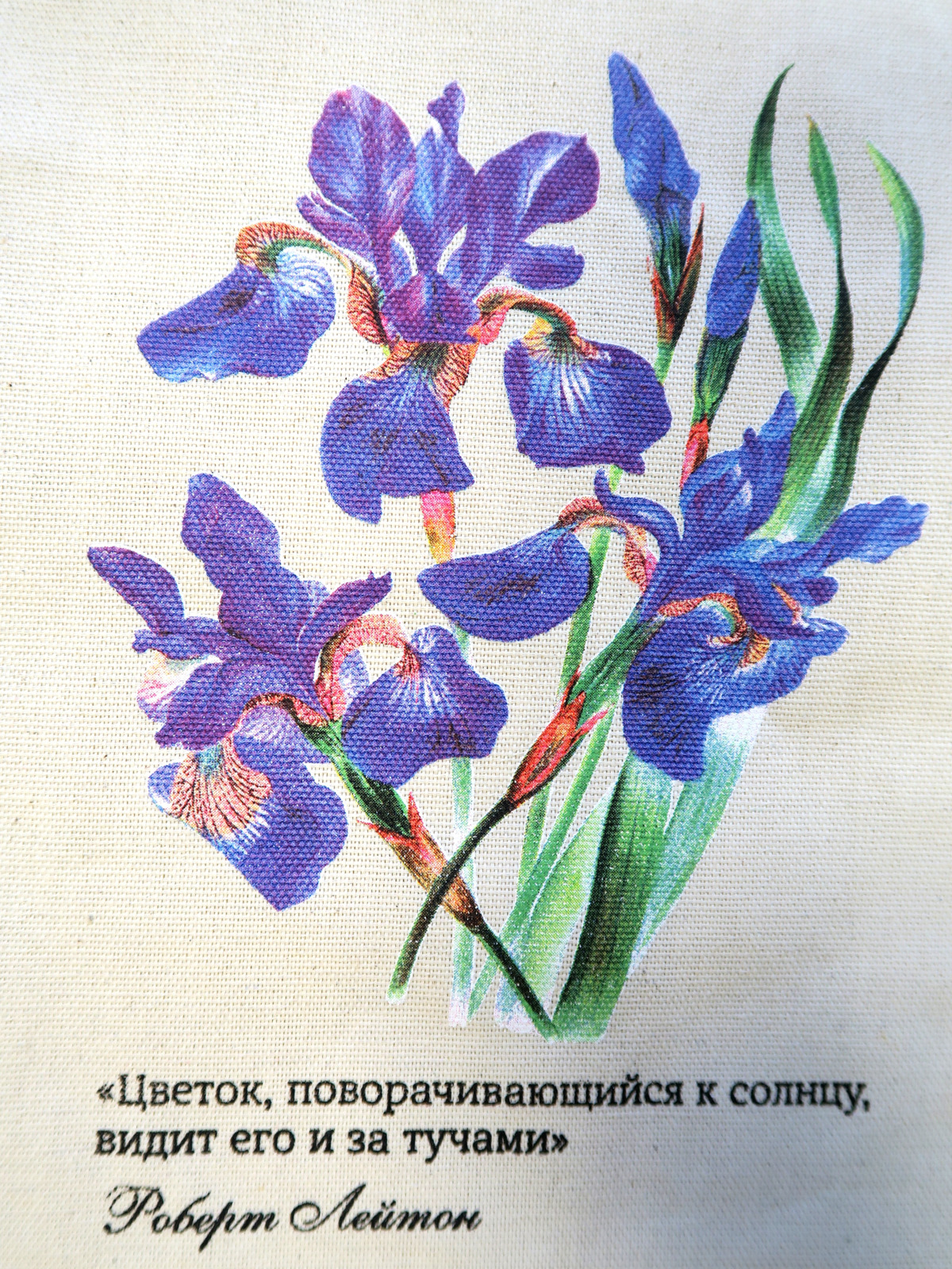 Ирис март. Ирис март. Ирисы. Ирисы цветы полевые. Андрияки нарциссы и ирисы.