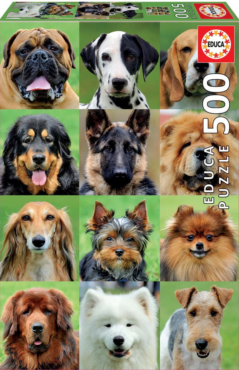 фото собак разных пород с названиями