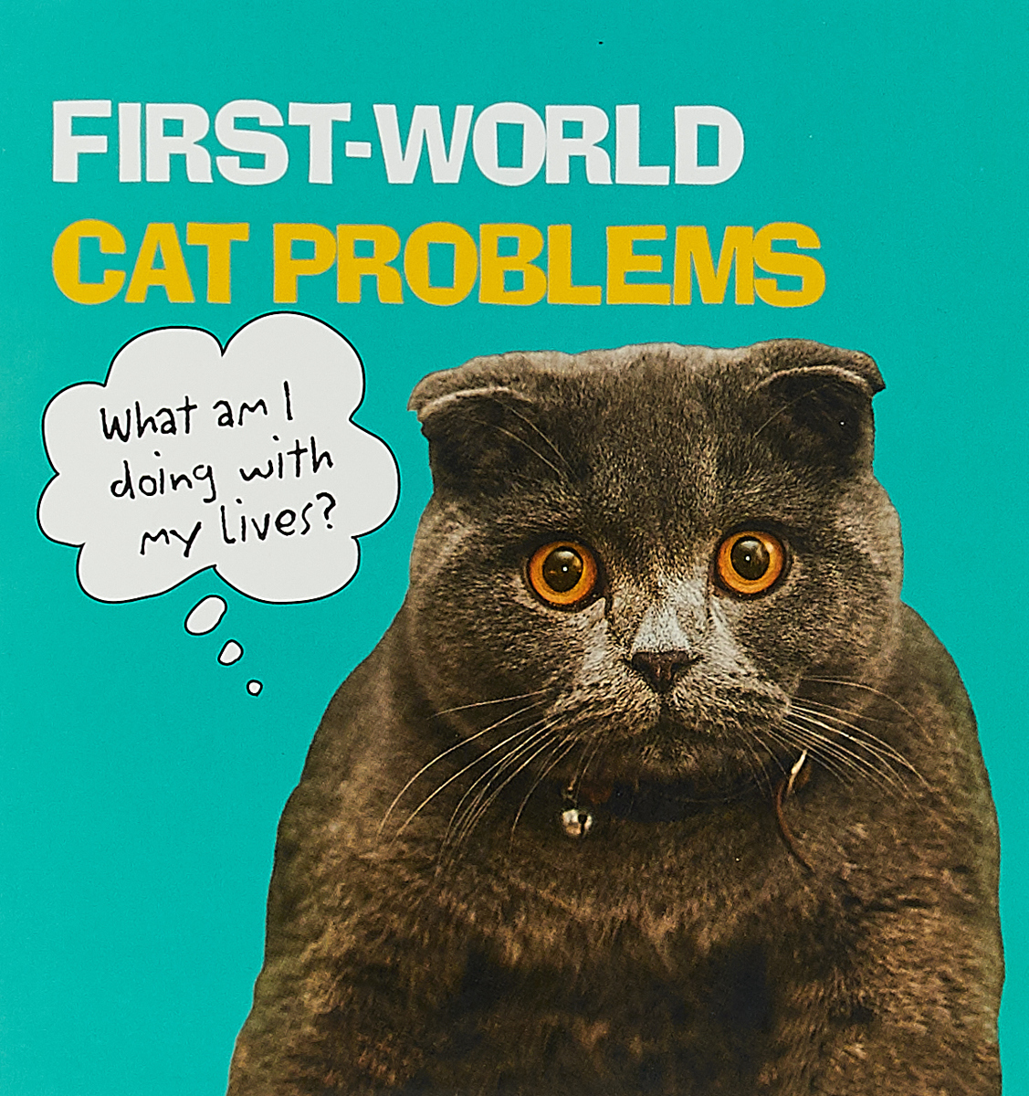 фото First World Cat Problems Ebury digital