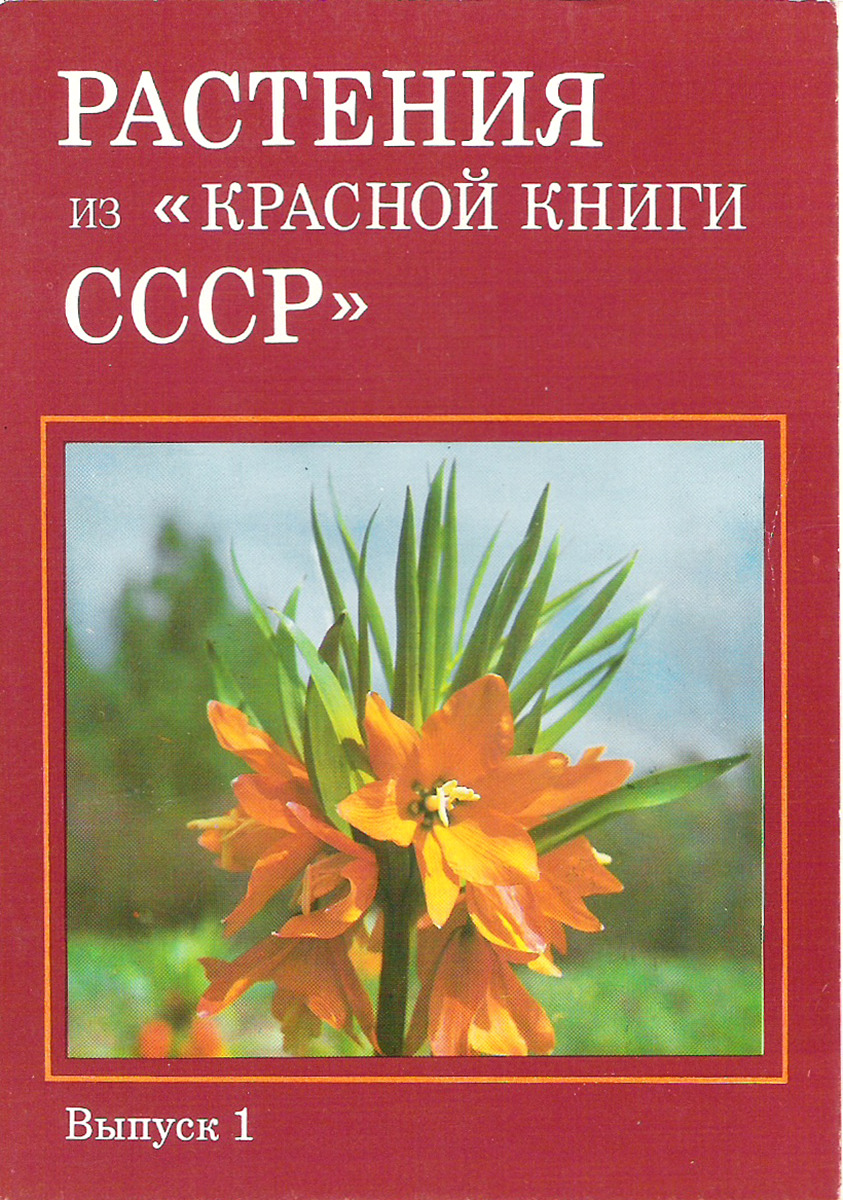 Розы Купить Книги Ссср