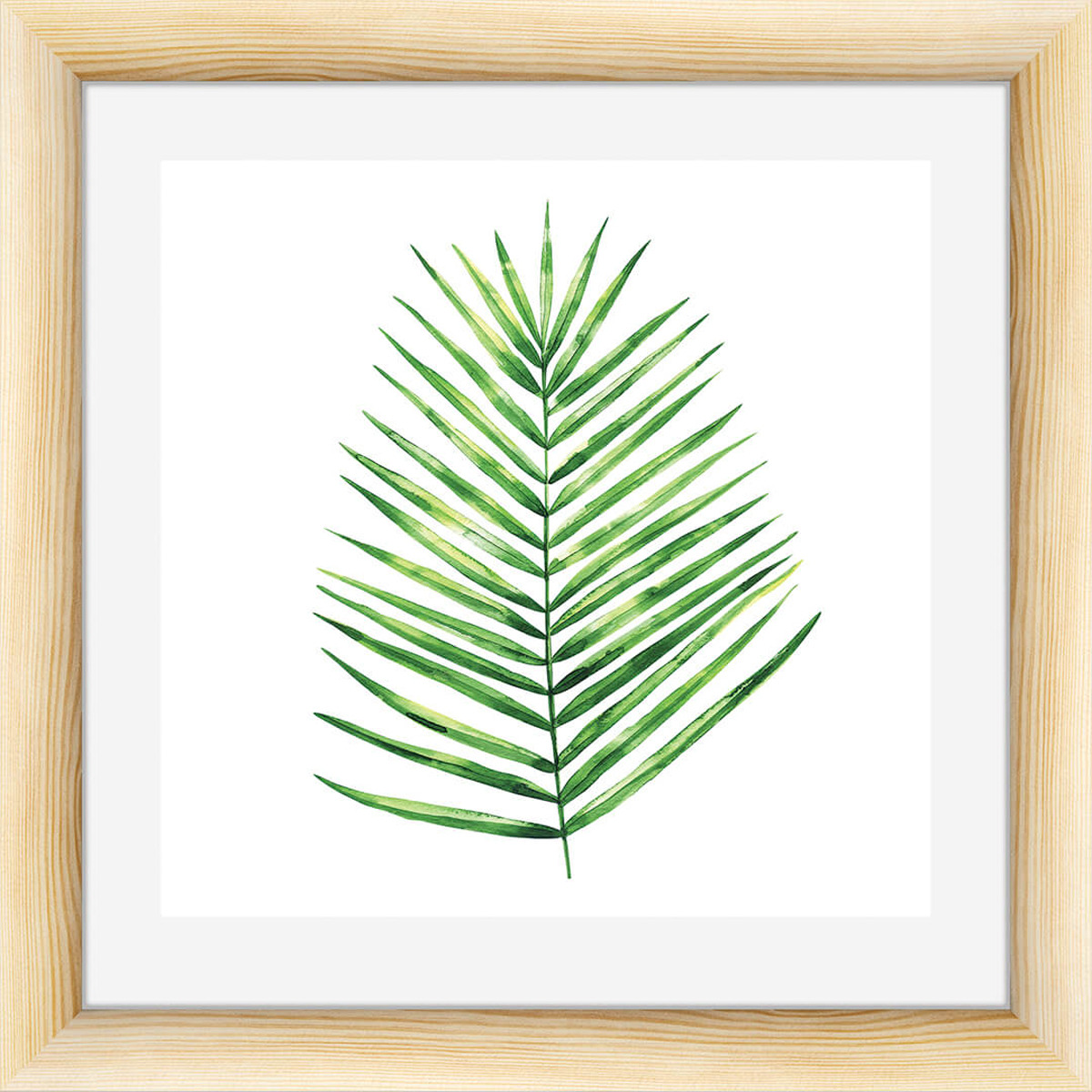 Картина листья пальмы
