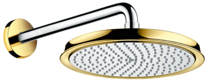 фото Верхний душ Hansgrohe Raindance Classic 27424090