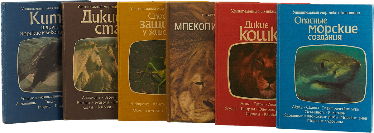 Дикий Мир Интернет Магазин
