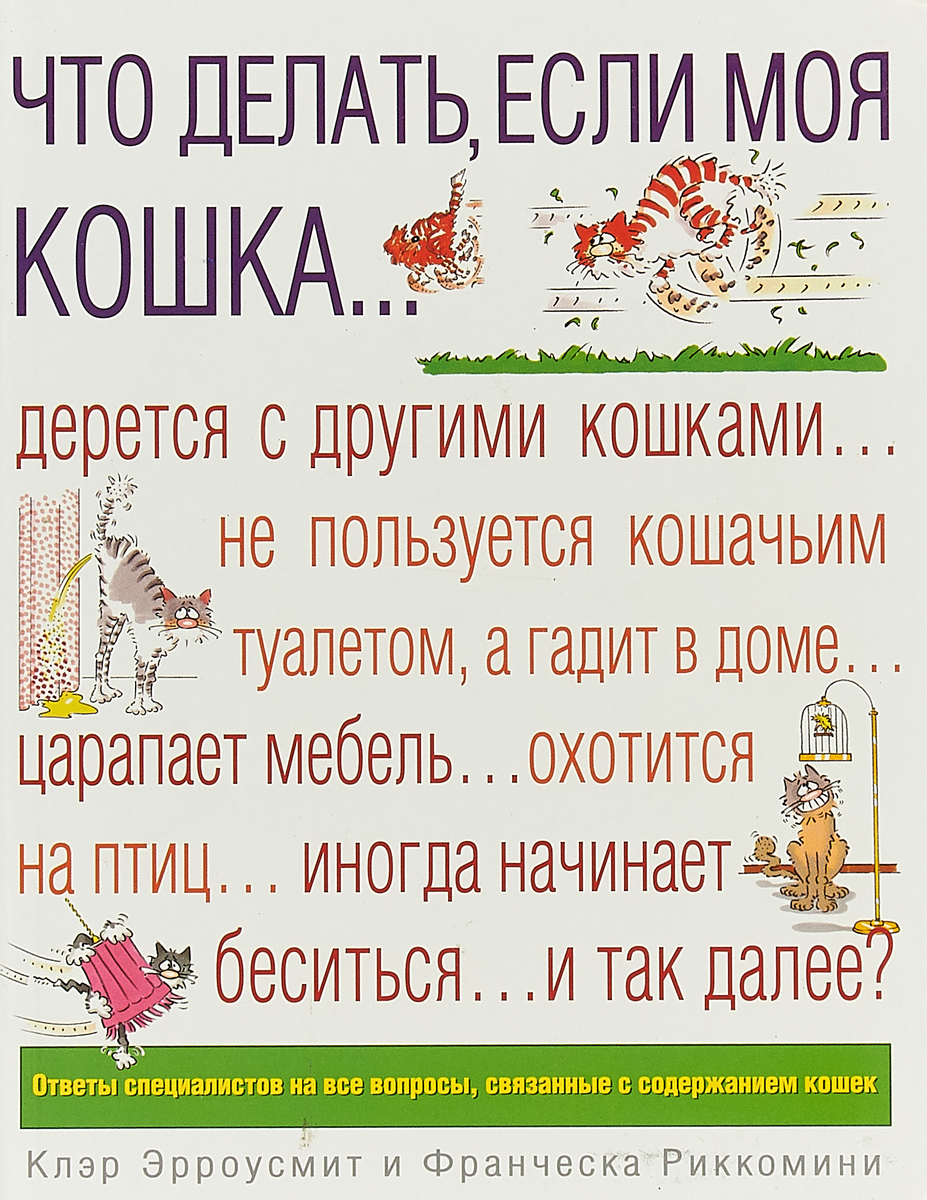 Гадит кошка на мебель