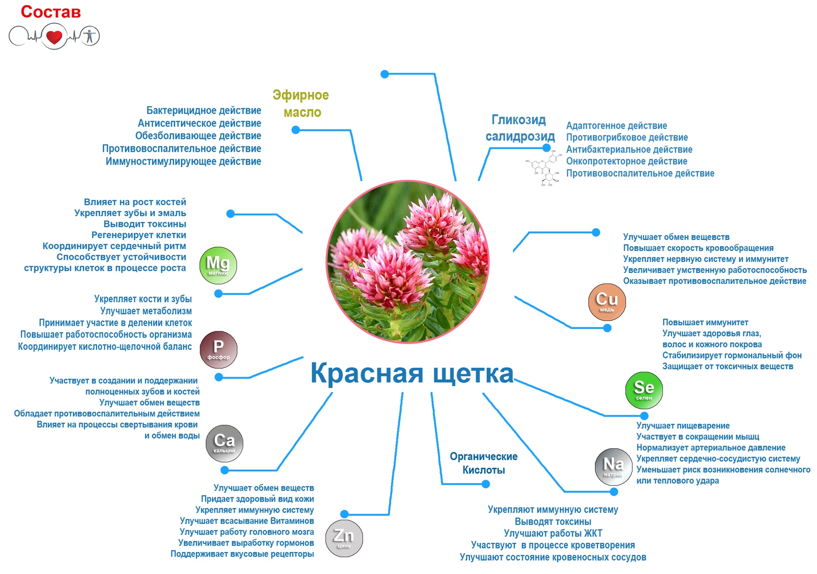 фото Чай в пакетиках Фиточаи Байкальские "Красная Щетка" лечебный, 20 шт по 1.5 г