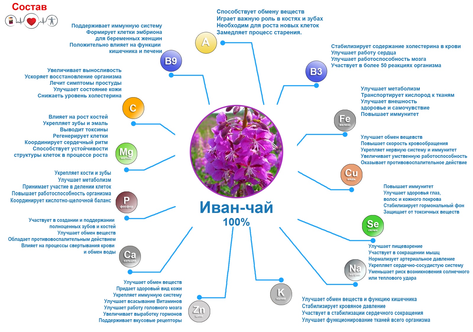 Ткани полезные для организма. Какие витамины содержит Иван чай. Химический состав Иван чая. Иван чай состав трав. Иван чай состав микроэлементов в таблице.