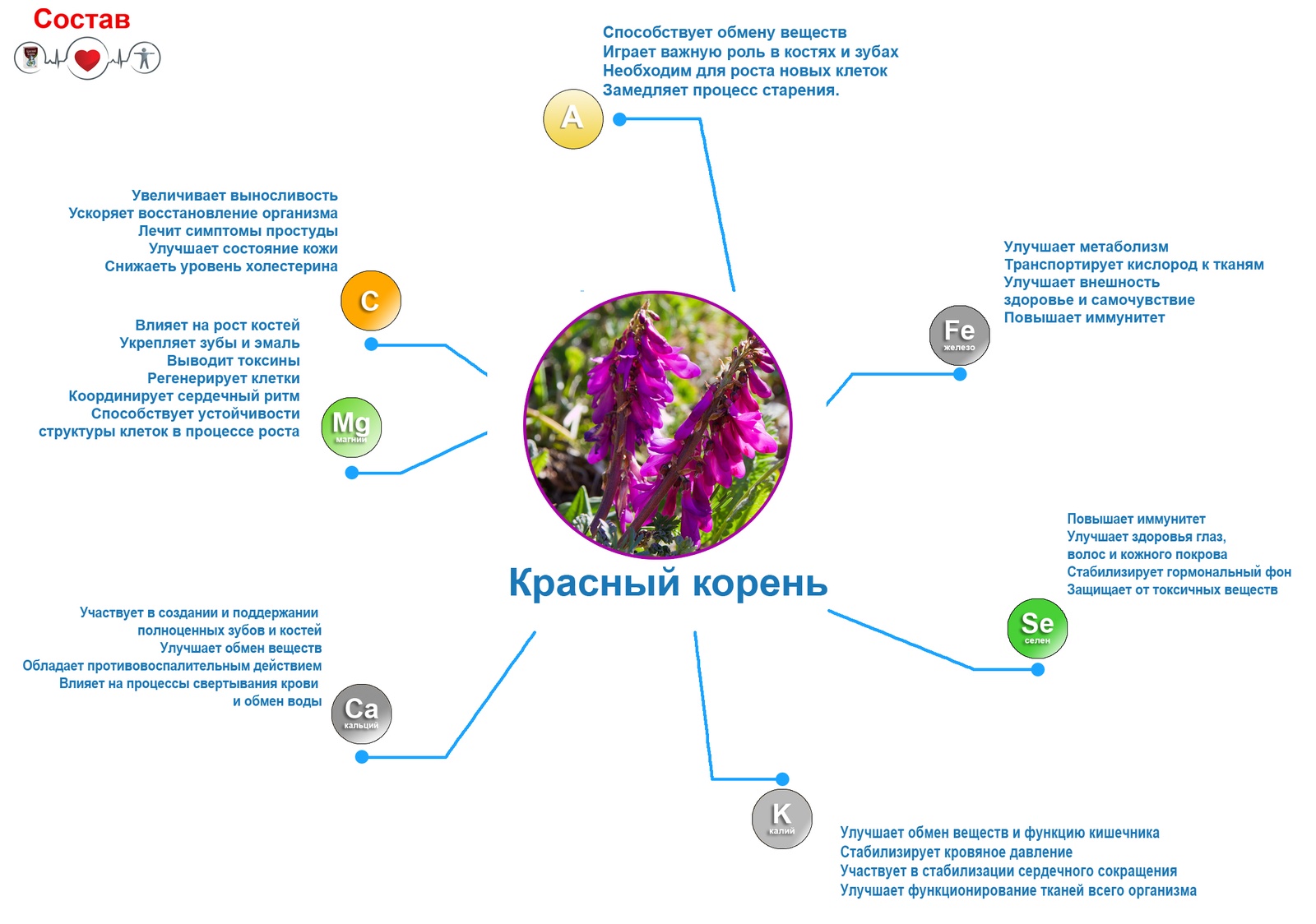 фото Чай листовой Фиточаи Байкальские "Крачный Корень. Копеечник Забытый" лечебный, 30 г