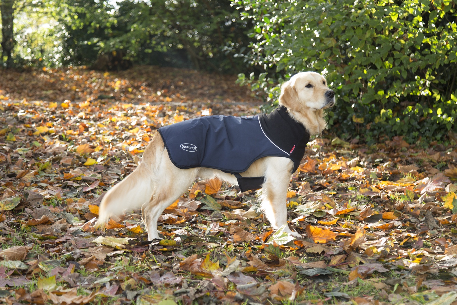 фото Одежда для собак SCRUFFS Thermal попона согревающая 936112, 50см, темно-синий Scruffs (великобритания).