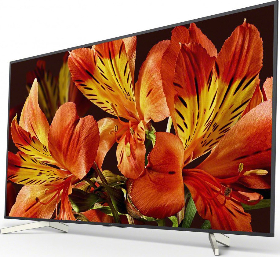 фото Телевизор Sony KD55XF8596BR2 55", черный