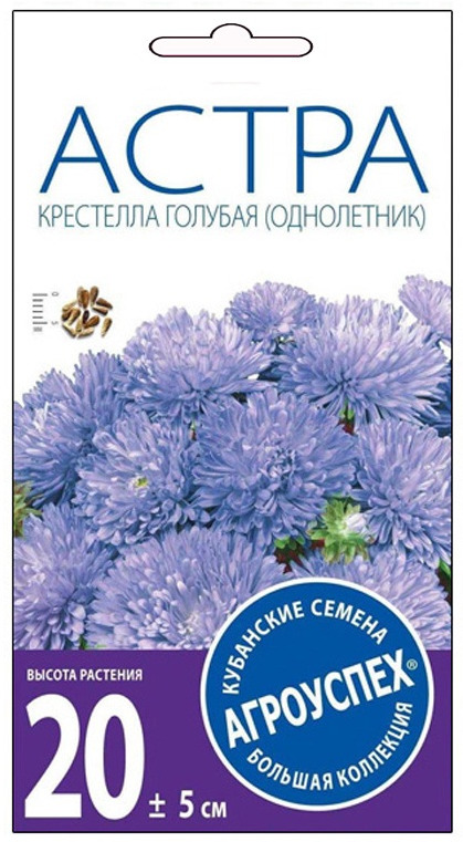 фото Семена Агроуспех "Астра Крестелла голубая низкорослая О", 07327, 0,2 г