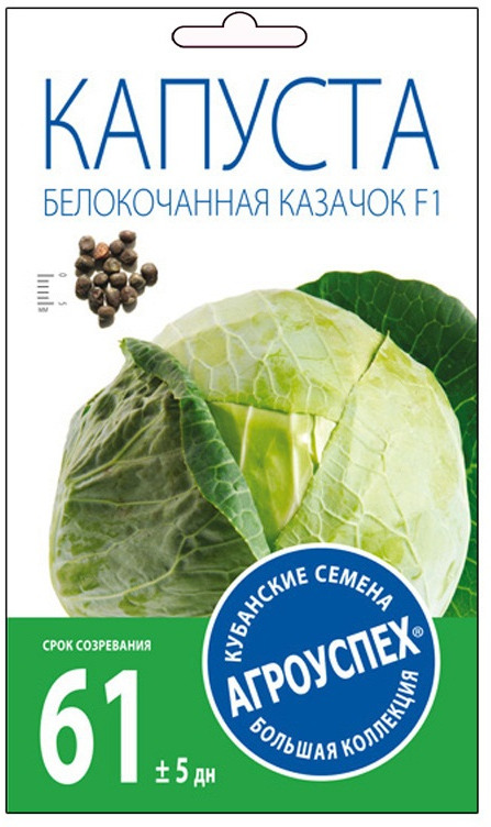 фото Семена Агроуспех "Капуста белокочанная Казачок ранняя", 25490, 0,25 г