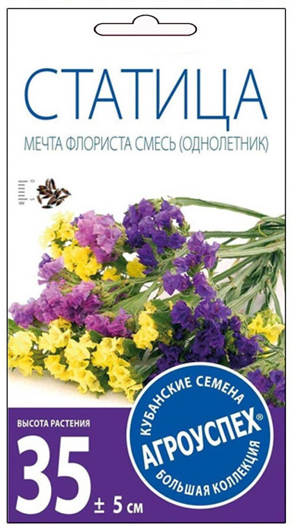 фото Семена Агроуспех "Статица Мечта флориста смесь О", 29781, 0,1 г