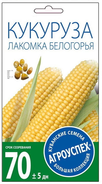 фото Семена Агроуспех "Кукуруза Лакомка Белогорья", 32900, 5 г