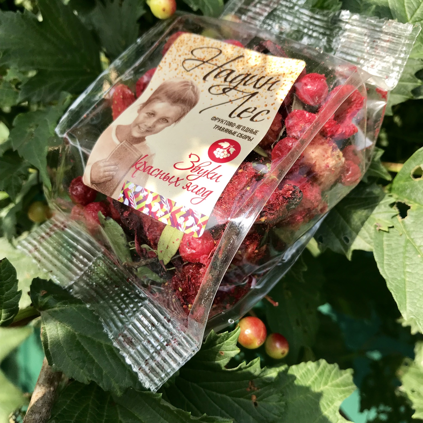 фото Звуки красных ягод Надин лес