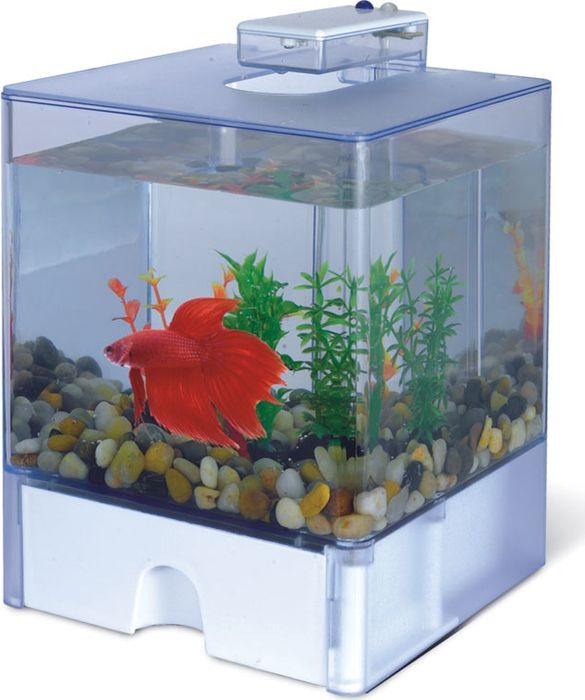 фото Аквариум AA Aqua Box Betta 1515AA, 73506002, 3 л