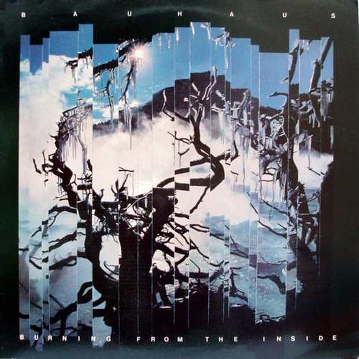 Bauhaus Bauhaus. Burning From The Inside. Re-Issue (LP) bauhaus bauhaus burning from the inside re issue lp