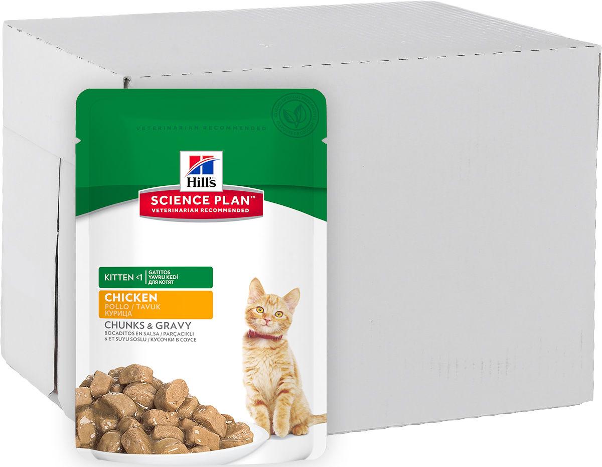 Hills science plan для котят. Hill's Science Plan Kitten Turkey влажный корм для котят, с индейкой - 85 г. Хиллс для котят. Хиллс влажный корм для котят. Хиллс для котят влажный.