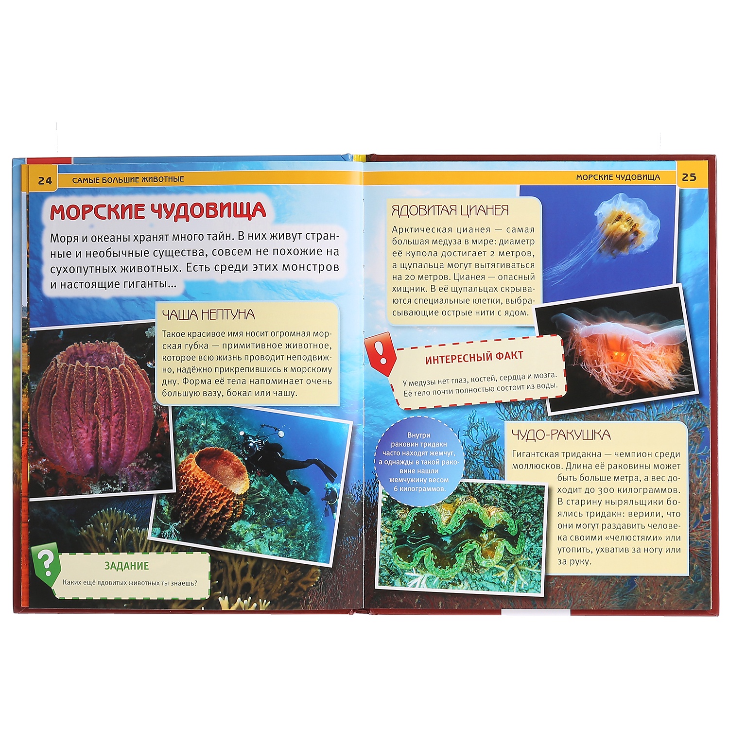 энциклопедия самые большие животные умка. большая детская энциклопедия животных владис. большая книга самые большие животные. энциклопедия самые большие животные умка. самые большие животные" а4 твердый переплет.