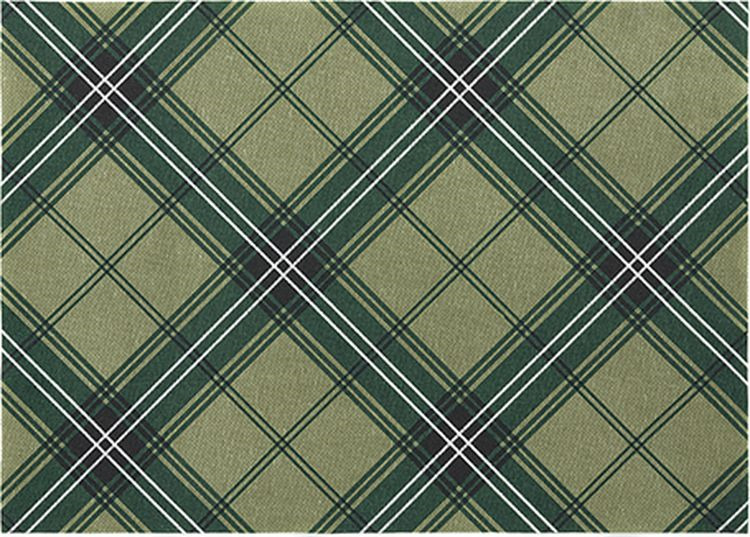 фото Салфетка столовая Day Drap Green Tartan, Л8874, зеленый, серый, белый, 2 шт