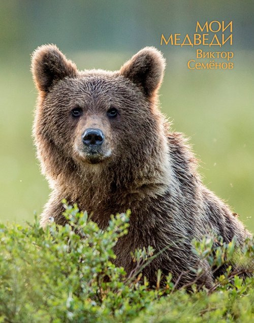 Виктор Семенов Мои медведи