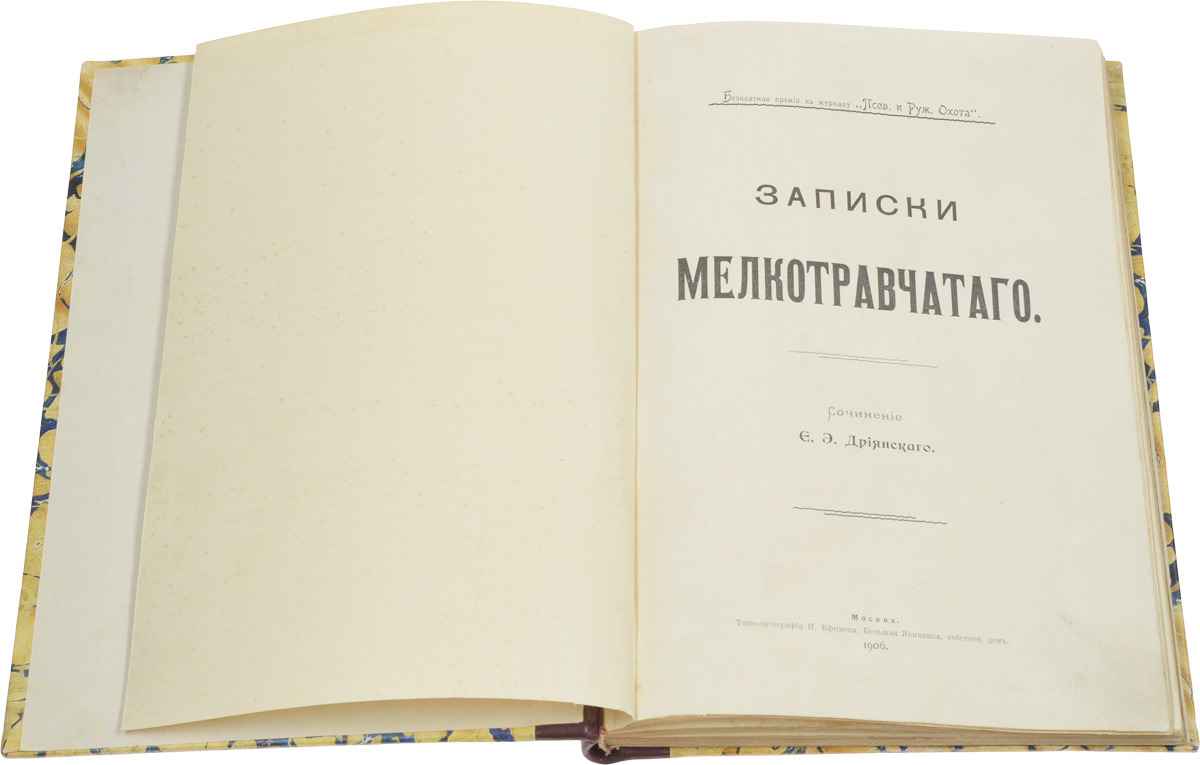 книга записки мелкотравчатого дриянский. мелкотравчатый. мелкотравчатый это какой человек. значение слова мелкотравчатый. мелкотравчатый.