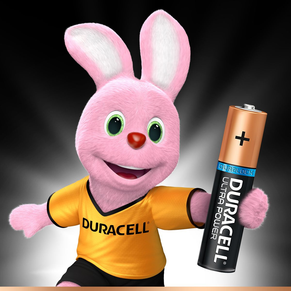 фото Набор батареек Duracell Ultra Power LR03-2BL, 5004804, 2 шт