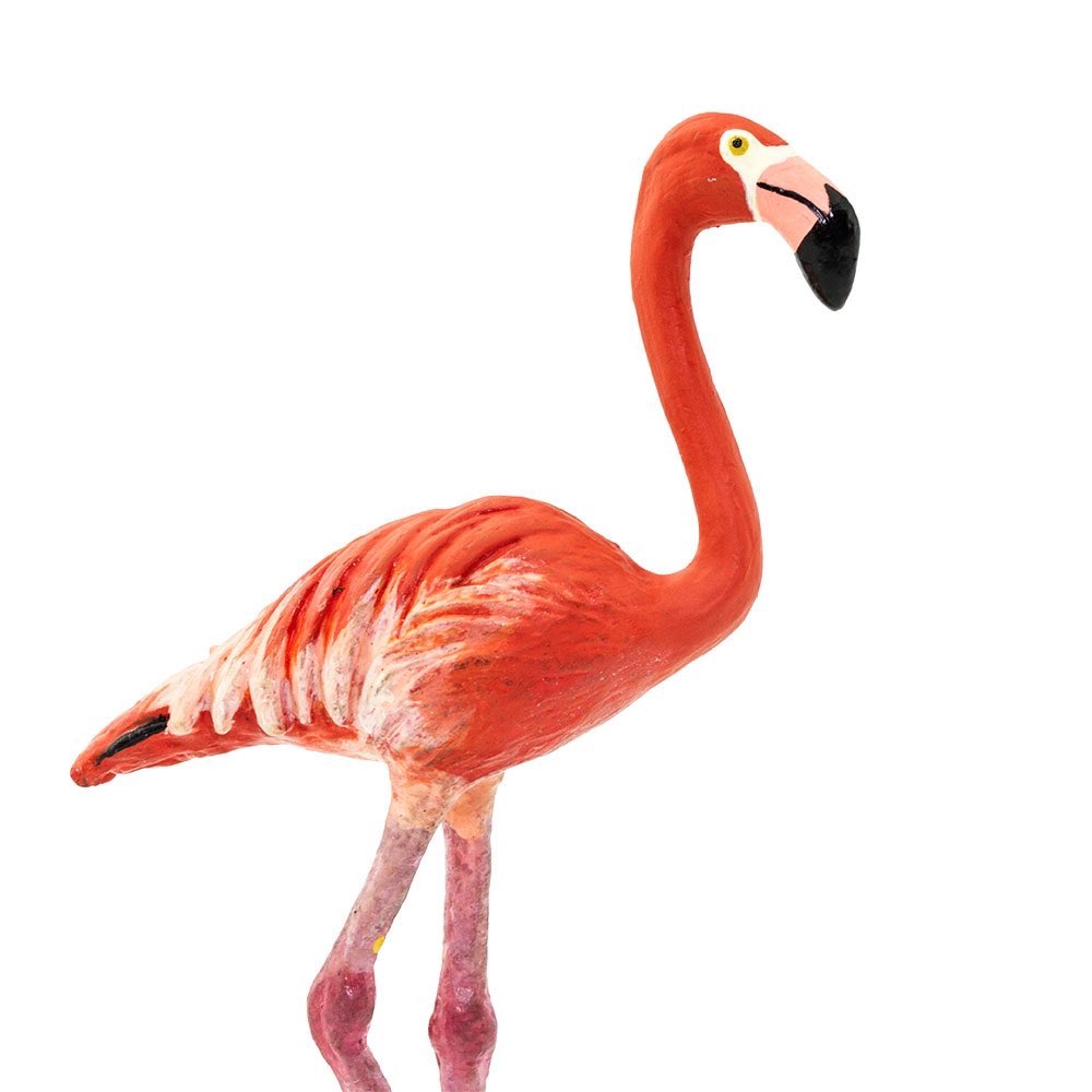 фото Фигурка Safari Ltd Птица фламинго, 100262 розовый