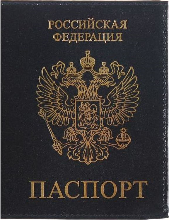 фото Обложка для паспорта Snow