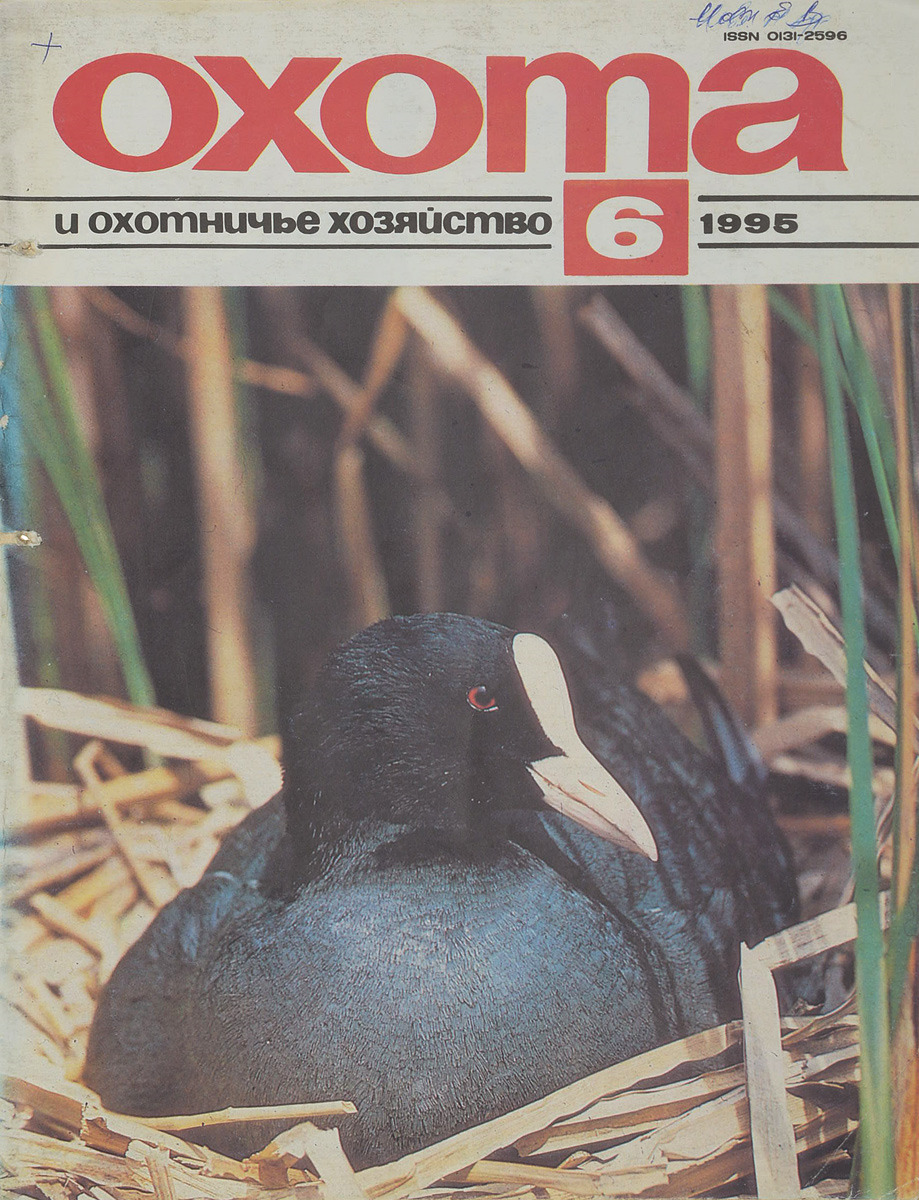 фото Журнал "Охота и охотничье хозяйство". № 6, 1995 год