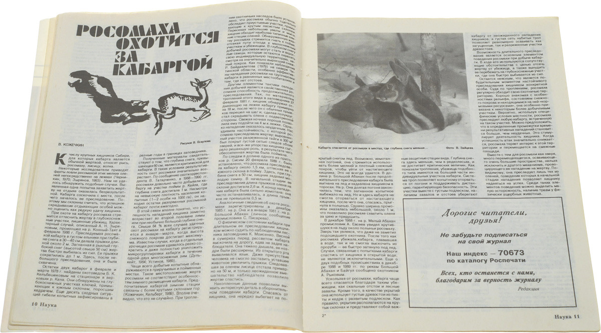 фото Журнал "Охота и охотничье хозяйство". № 6, 1995 год