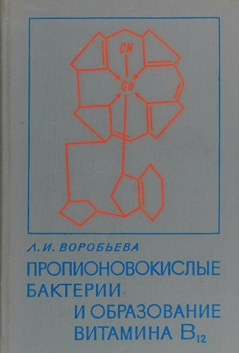 Пропионовокислые бактерии и образование витамина В 12