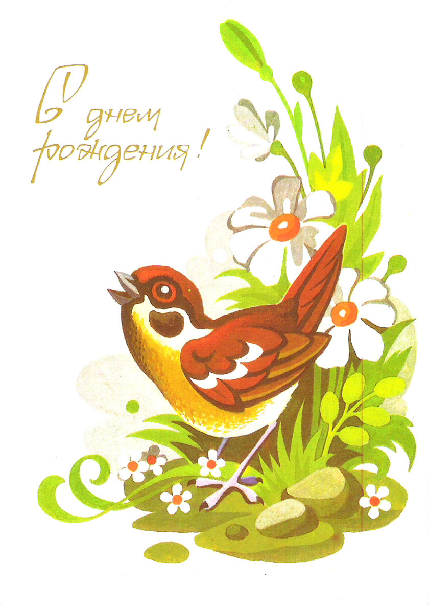 С днем рождения птица. Открытка с днём рождения с птичками. Советские открытки. С днём рождения Воробей. С днём рождения советские открытки.