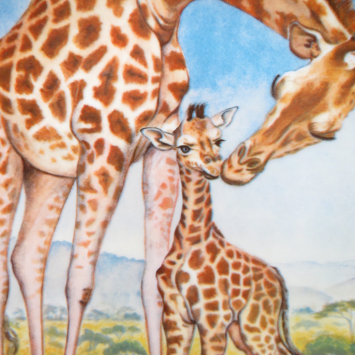 фото Декоративная тарелка "Знаки Любви: Поцелуй для матери. Жирафы". Фарфор, деколь. США, Edwin M.Knowles China Company, Ян-Рей Хикс, 1981