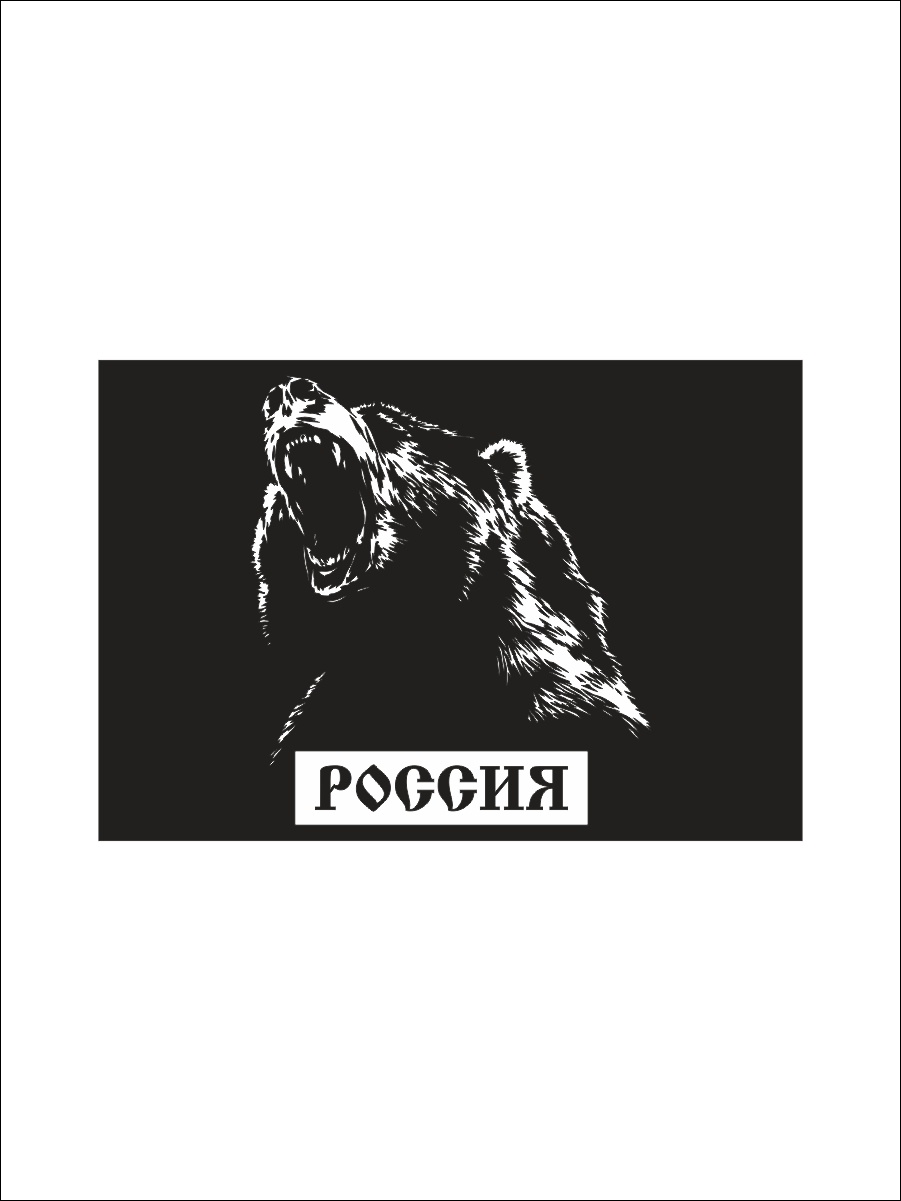 фото Магнит Простые Предметы "Россия - Медведь", RM53RGB