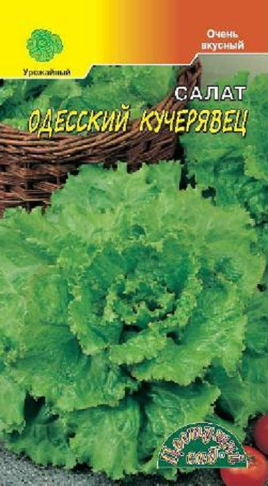 фото Семена Цветущий сад "Салат Одесский кучерявец", 0,5 г