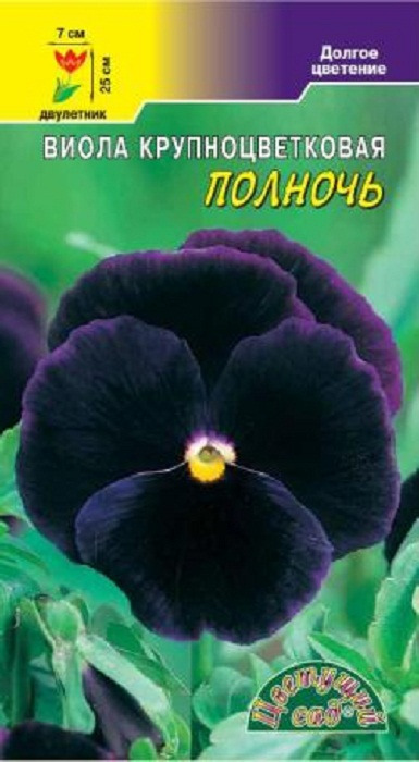 фото Семена Цветущий сад "Виола Полночь крупноцветковая темно-фиолетовая", 0,1 г