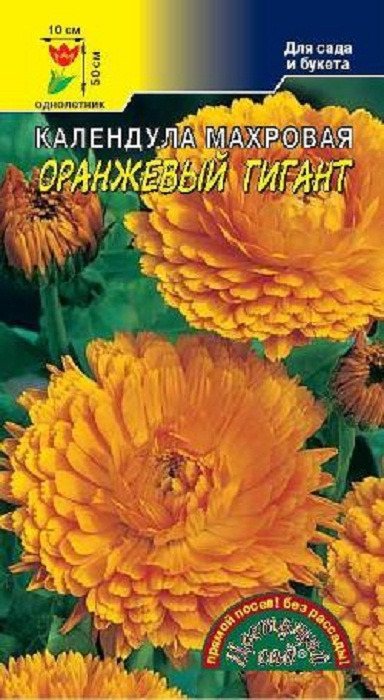 фото Семена Цветущий сад "Календула Оранжевый гигантская махровая", 0,3 г
