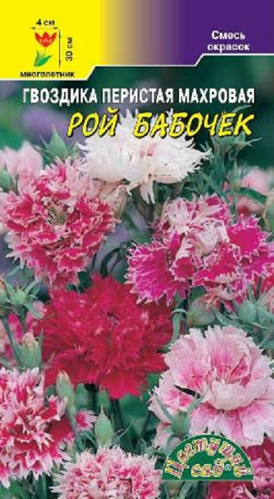 фото Семена Цветущий сад "Гвоздика Рой Бабочек махровая многолетняя", 0,05 г