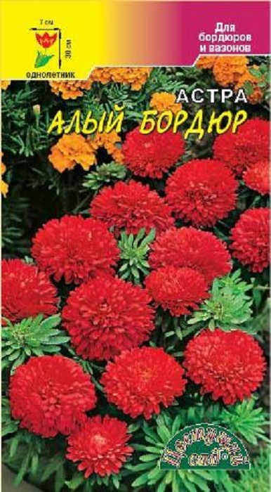 фото Семена Цветущий сад "Астра Бордюр Алый", 0,3 г