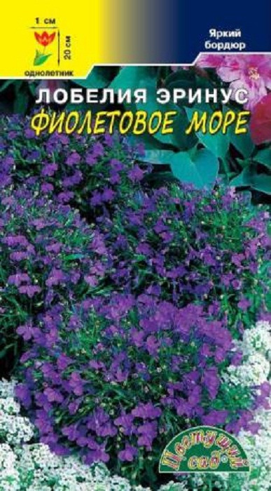 фото Семена Цветущий сад "Лобелия Фиолетовое Море", 0,04 г