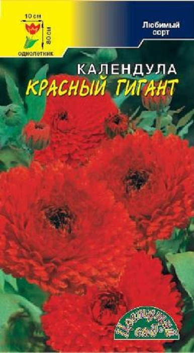 фото Семена Цветущий сад "Календула Красный гигантская махровая", 0,3 г