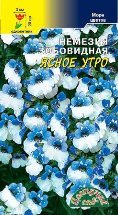 фото Семена Цветущий сад "Немезия Ясное Утро голубая белая", 0,02 г