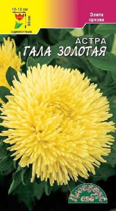 фото Семена Цветущий сад "Астра Гала Золотая", 0,1 г